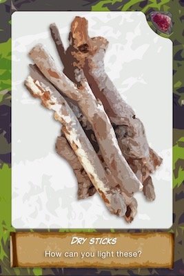 Sticks item card